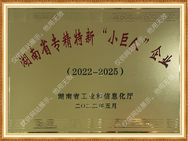 2022-2025湖南省專(zhuān)精特新“小巨人”企業(yè)